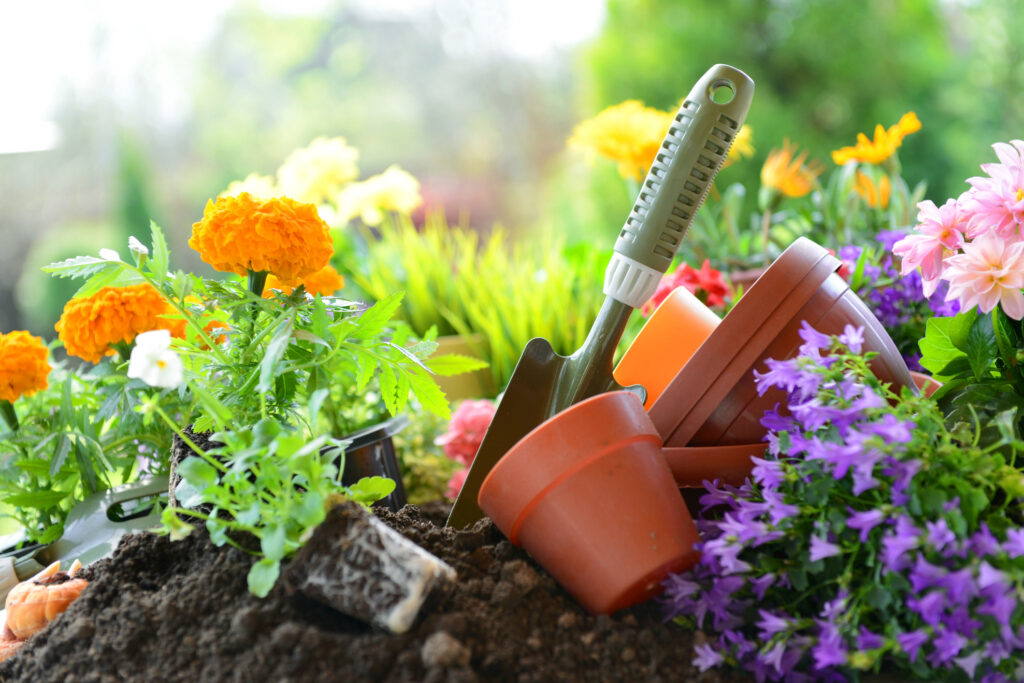 5 Great Activities for Retirees This Spring Zinnia Wealth Management