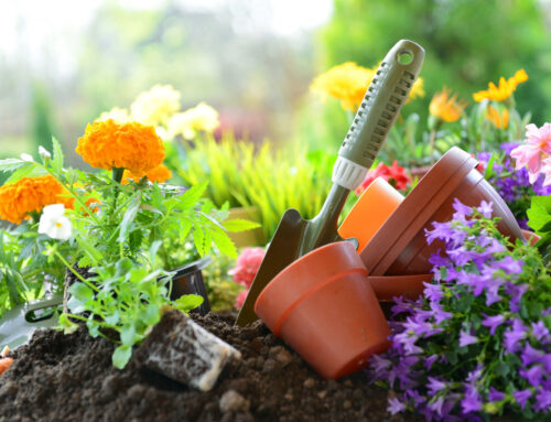 5 Great Activities for Retirees This Spring