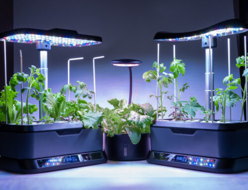Lettuce Grow Up: Why Retirees Are Falling in Love with Vertical Farming (and How to Get Started)