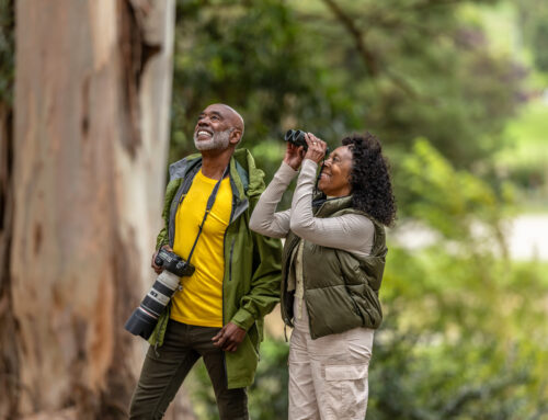 Beyond the Birds: The Unexpected Joys of Birdwatching in Retirement