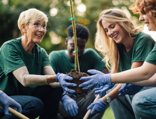A Season for Giving Back: Volunteering in Retirement